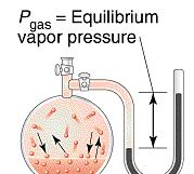 equilibrio si hanno quando il n delle molecole che passano dallo stato liquido a