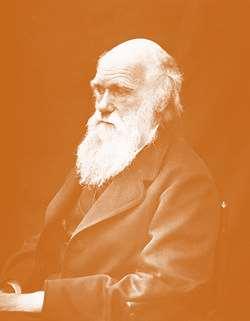 EVOLUZIONE DELLA VITA: Darwin (La prima rivoluzione copernicana) 1832: 5 anni sul Beagle sterminata varietà di piante e animali i fossili perché Dio avrebbe creato tante varietà di una stessa specie