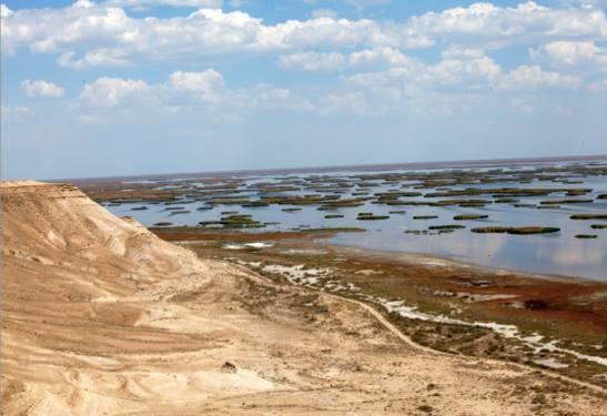 graduale scomparsa del lago d Aral a causa dei programmi di irrigazione sovietici che sottrassero acqua ai suoi immissari, il Syr-Darya e l Amu-Darya.