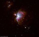 LA NEBULOSA DI ORIONE (M42) M42 M43 La Nebulosa di Orione (M42) è una gigantesca massa di gas, ampia centinaia di anni luce, ove le stelle si stanno formando a pieno ritmo. A 1300 a.l. di distanza, è la più recente e più vicina zona di formazione stellare che conosciamo.