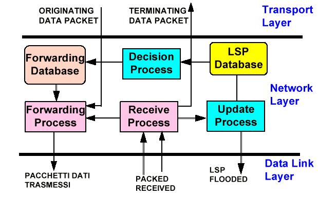 Routing: decisioni Il router elabora il Link State Database per produrre il Forwarding Database: si pone come radice dello shortest-path tree cerca lo shortest path per ogni nodo destinazione