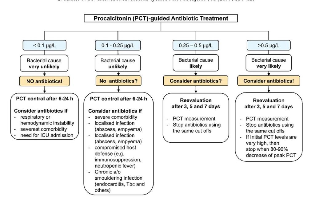 Procalcitonin in septic shock Muller and Trampuz.