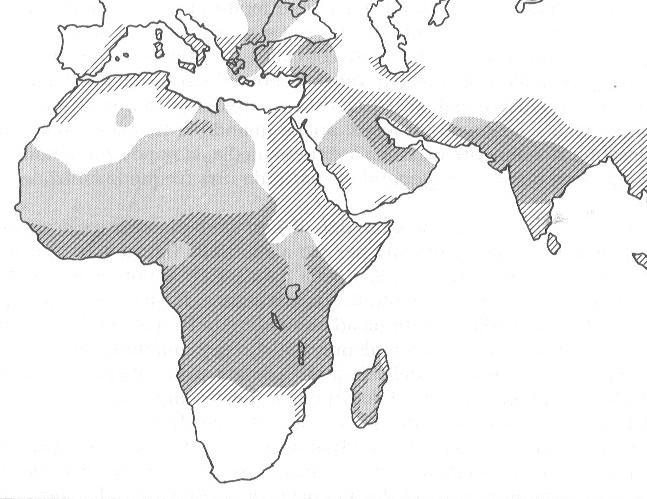 Esempio di polimorfismo bilanciato: la talassemia Zone tratteggiate: areale