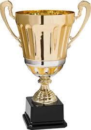COPPA CAMPANIA TEAM CUP 2015 CIRCUITO A PUNTEGGIO Promozionale- Divulgativo con montepremi alle Associazioni Sportive 2015 2016 Il Consiglio Regionale FIDS Campania, con delibera n.