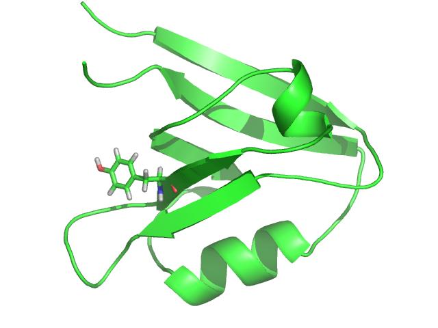 Anfinsen Protein folding is reversible.