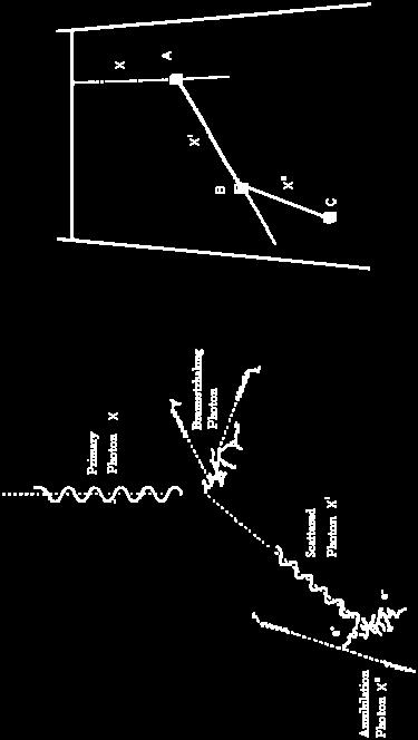 indicazione delle particelle