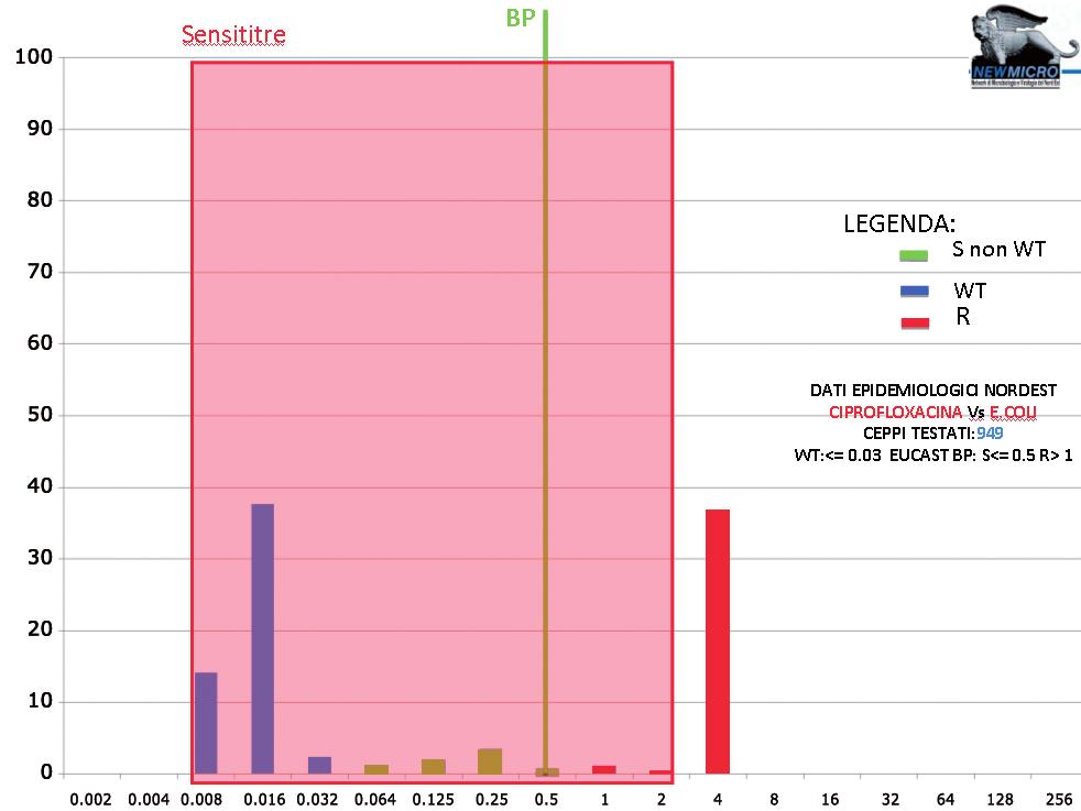 Valutazione dei sistemi Nell ambito dei 4 sistemi valutati portiamo alcuni esempi: E. coli vs ciprofloxacina, P. aeruginosa vs meropenem, S. aureus vs vancomicina. Nel caso di E.