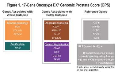 ONCOTYPE DX (GPS) su Biopsia 19 Profilo di espressione di mrna di 17 geni su biopsie GPS va da 0