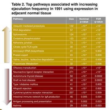 Profili genetici particolari 21 - Dati prospettici dal Health Professionals Follow-up Study supportano una correlazione fra frequenza di eiaculazione ed insorgenza di carcinoma prostatico (-30%)