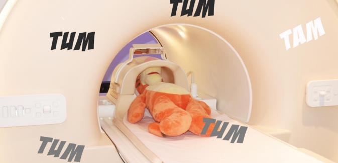 Il protocollo: aree di interesse Neuroimaging RMN