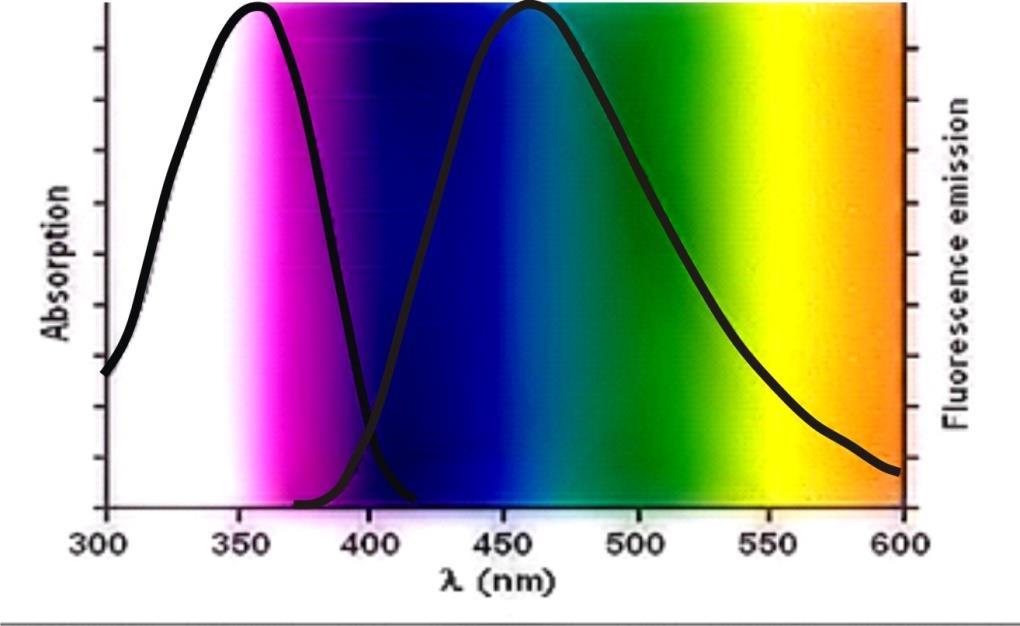 fluoroforo a una gamma di