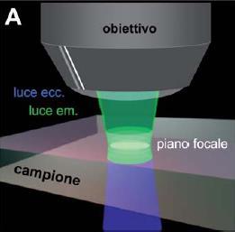 Microscopia