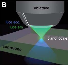 Microscopio a