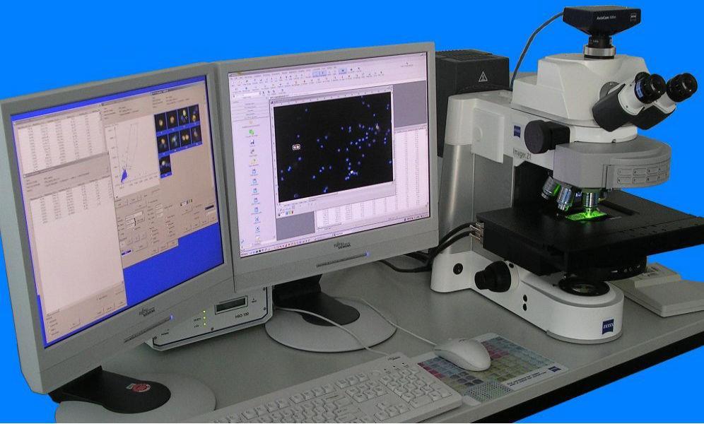 Il microscopio a fluorescenza (MF) Il MF è un microscopio