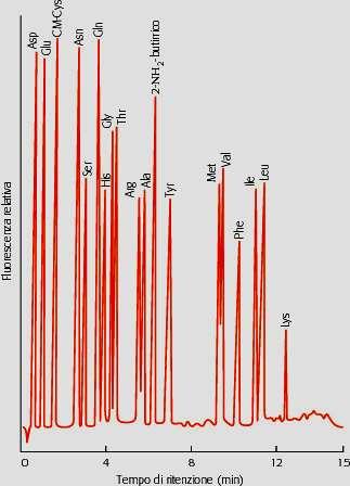 Cromatografia liquida ad alta risoluzione (HPLC) L alta pressione consente di utilizzare matrici estremamente fini e quindi, aumentando il numero di interazioni con la matrice,