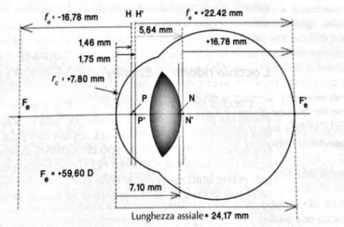 Nella figura 1 sono indicati anche i punti notevoli del sistema ottico oculare: punti principali, punti nodali e fuochi.