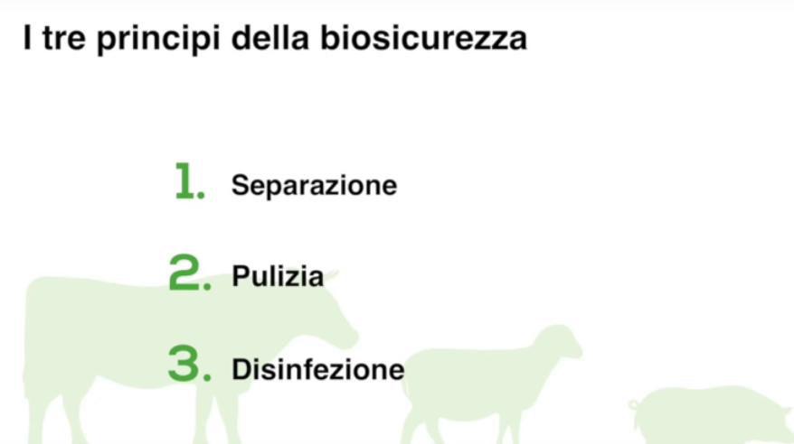 A. PRIMA DI ARRIVARE IN ALLEVAMENTO: 1. Rimuovere tutti gli effetti non necessari dal veicolo 2.