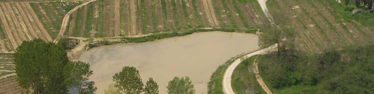 nel settore agroalimentare e forestale rendere più efficiente l'uso dell'acqua nell'agricoltura; rendere più efficiente l'uso