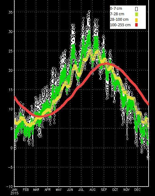 Parametri del run Parametri del WRF Analisi del problema relativo al Thermal Diffusion Scheme WPS WRF-ARW ana_ecmwf.grib ana-sfc_ecmwf.grib UNGRIB Decodifica GRIB wrf.namelist wps.