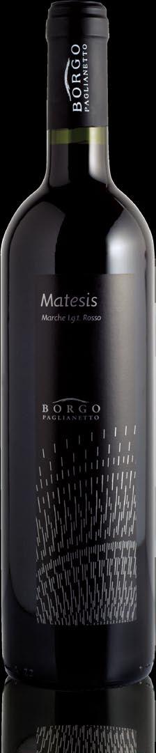 sud VITIGNO E UVAGGIO montepulciano 100% NR. BOTTIGLIE PRODOTTE 10 anni 60/70 ql.