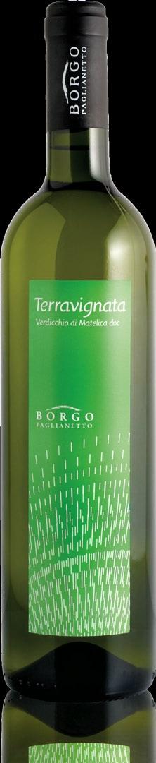 TERRA VIGNATA VERDICCHIO DI MATELICA DOC sud, sud ovest 350/400 slm. VITIGNO E UVAGGIO verdicchio 100% 15 anni 90/100 ql./ha. da metà settembre a metà ottobre NR. BOTTIGLIE PRODOTTE 30.000 da lt.