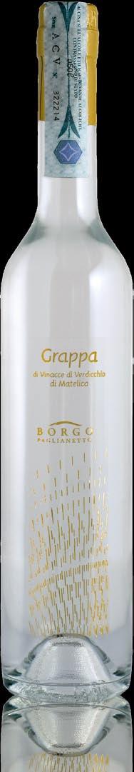 GRAPPA DI VINACCE DI VERDICCHIO DI MATELICA Qusta grappa giovane e fresca rilascia un profumo intenso ed allo stesso tempo delicato, presenta note di frutta bianca unitamente ad una più lieve punta