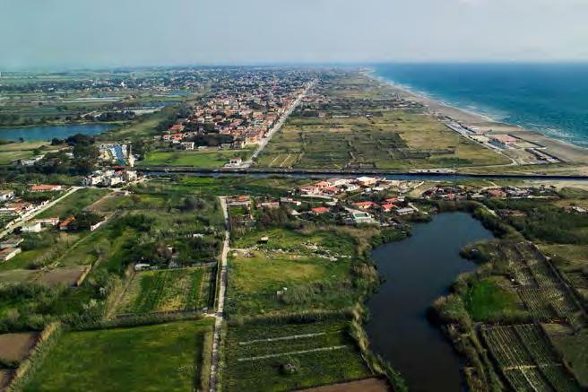 Secondo Plinio tre erano le qualità differenti: il Gaorano dalle vigne sul Monte Massico, leggermente amaro; il Falerno propriamente detto, più secco, dalle vigne ai piedi del monte ed il Faustino,