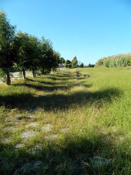 SINUESSA, UN APPRODO SOMMERSO DI EPOCA ROMANA La rete risulterebbe rafforzata inoltre dai rimandi a quella dei siti architettonici di pregio nell entroterra, dalla Reggia di Caserta, al Real Sito di