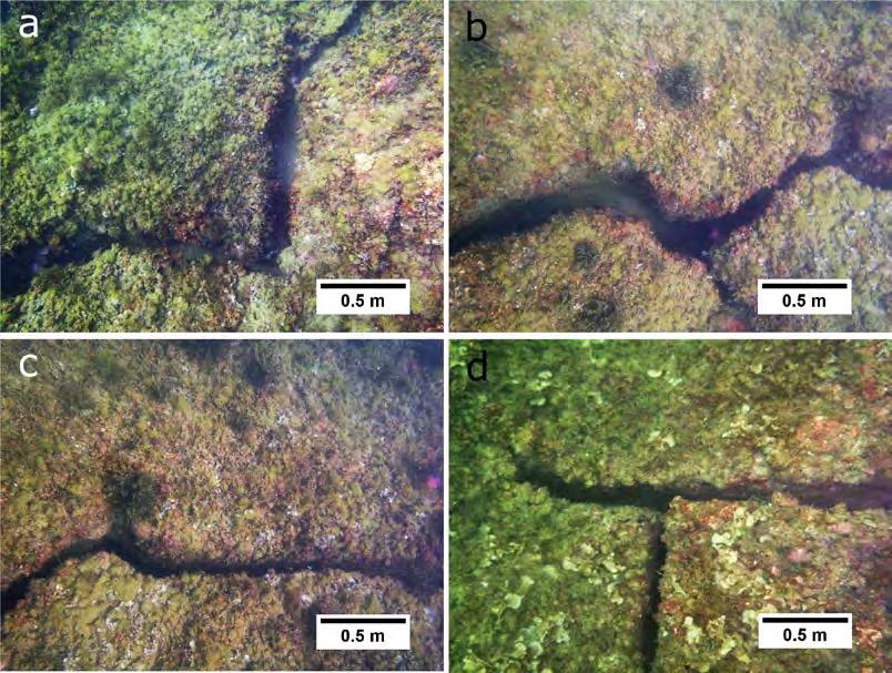 da sedimentazione sabbiosa; 2) paleoalveo; 3) banco roccioso di natura ignimbritica, intensamente fratturato ed