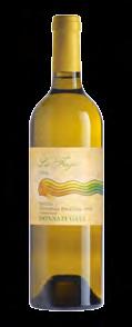 Un indimenticabile aromatico mediterraneo Lo chardonnay della vendemmia notturna Il cru voluto da Gabriella Rallo Lighea Zibibbo Sicilia Doc La Fuga Chardonnay Contessa Entellina Doc Vigna di Gabri