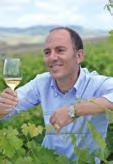 Un nuovo stile per i vini siciliani. 1989 Donnafugata giunge sull isola di Pantelleria dove coltiva lo Zibibbo ad alberello su terrazzamenti, ed inizia a produrre il Passito Ben Ryé.