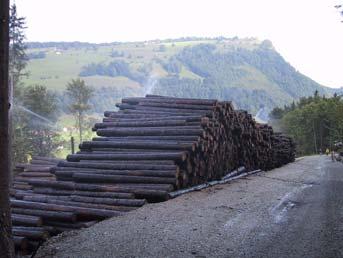 Regolamento cantonale d applicazione (RLCFo) Uso del legno Art.