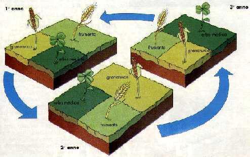 Presidio del territorio Utilizzo di