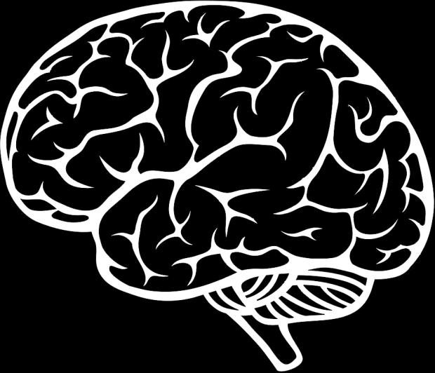 E TUTTO NEL TUO CERVELLO IL TUO CERVELLO The New Brain Rational The Middle Brain Emotional The Reptilian Brain Subconscious 95% DI TUTTE LE DECISIONI AVVIENE NELLA PARTE INCONSCIA SUBCONSCIO è