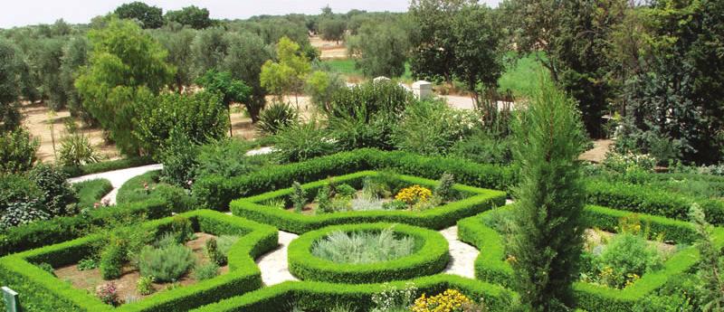 Parco Terreno di notevole estensione, generalmente recintato, per lo più adiacente a