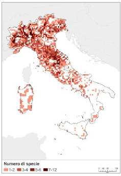 confermano (ISPRA, 2012): l importante ruolo svolto dall Umbria (hot spot); lo sfavorevole stato di
