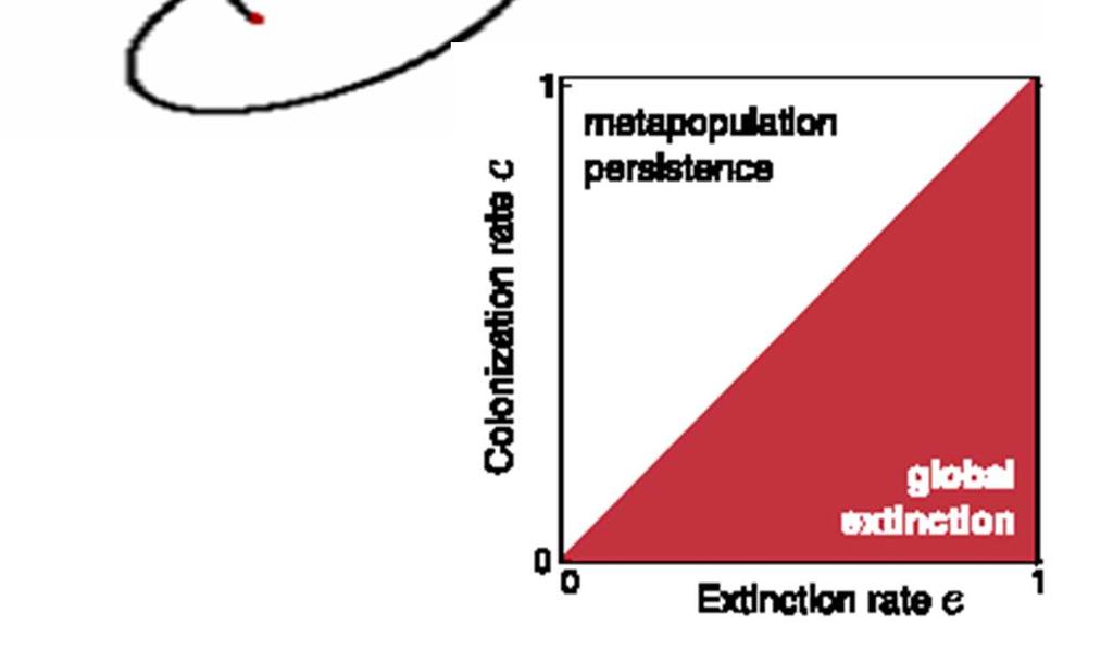 Frammentazione degli habitat e = tasso di estinzione c = tasso di colonizzazione La frammentazione degli Habitat costituisce una delle principali minacce alla biodiversità: aumentando l isolamento,