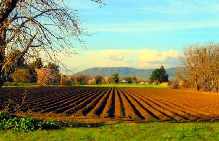 Professionale Settore Servizi Agricoltura (Biennio) 2 Chimica, 2 Fisica, 2 Tec della comunicazione, 3 ecologia, 3 laboratorio Indirizzo Servizi per l Agricoltura e