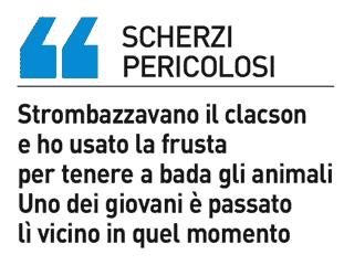 Sezione: