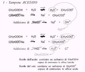 EFFETTO TAMPONE durante la titolazione di un acido o di una base debole è possibile notare come a valori ph vicini al p (o pk b ) una aggiunta di titolante provoca solo una variazione di ph molto