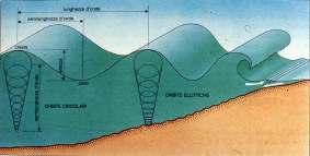 da monsoni ed infine le swell-waves occidentali ed orientali), escludendo l influenza di altri fattori, come le maree ed il clima; (Fig. 1a; Fig.