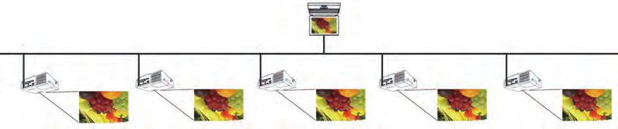 computer (Client) o switcher connessi al proiettore tramite LAN wireless o cablata.