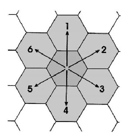 Modello basato su automi cellulari (Barca et al., 1987; Crisci et al.