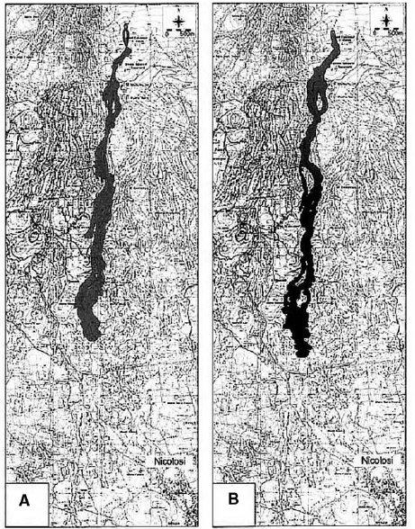 Modello basato su automi cellulari Confronto dei risultati: Etna 1991 A=osservata; B=simulata (Crisci