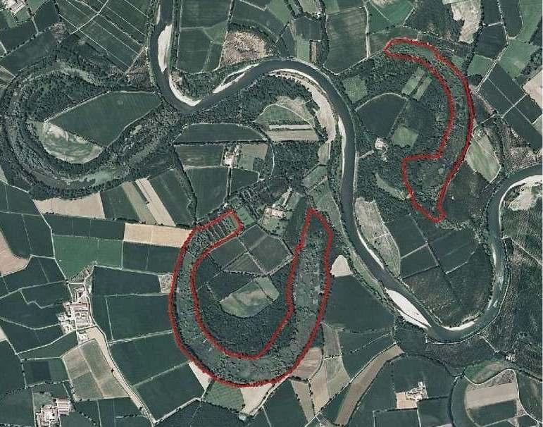 4. CARATTERISTICHE ZPS Garzaie del Parco Adda Sud IT2090502 Come già descritto, la ZPS Garzaie del Parco Adda Sud è costituita da quattro aree separate, di cui tre localizzate nella Provincia di Lodi