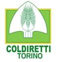 16 febbraio 2015 rassegna stampa quotidiani coldiretti coldiretti news Crisi, Coldiretti, dimezzato il miele italiano, è allarme furti. Boom importazioni.