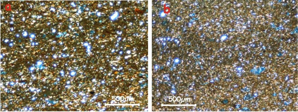 Fig. 4.1 b1 Microfoto rappresentative dei campioni studiati (nicols incrociati): a) campione G 25; b) campione G 8; c) campione G 24; d) G 24.