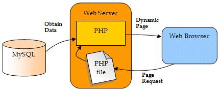 MySQL PHP è il linguaggio server-side che manipola le tabelle