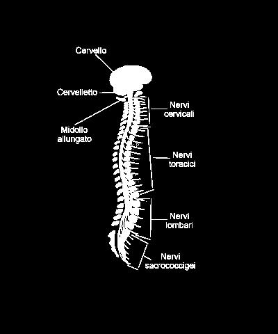 Tutte queste azioni sono controllate dal