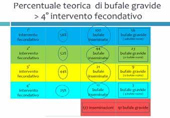 gravidi che hanno dopo il primo intervento Se inseminiamo per la terza volta le 21 bufale vuote, considerando il 44% di gravidanze, avremo 9 bufale gravide e 12 vuote.